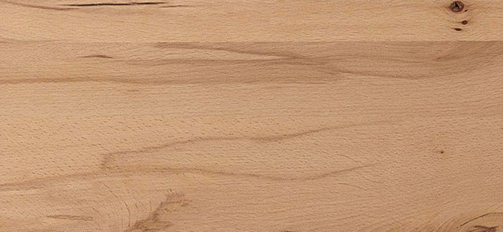 Detailbild Balkenbuche Nachbildung