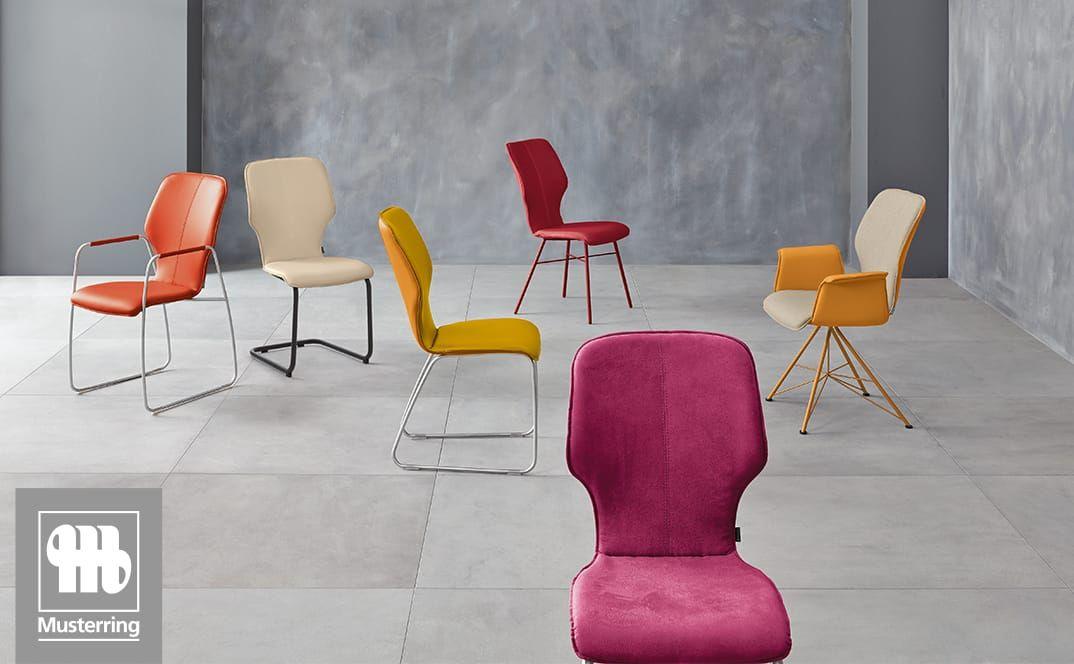 Mehrere farbige Esszimmerstühle in modernem Studio-Setting.